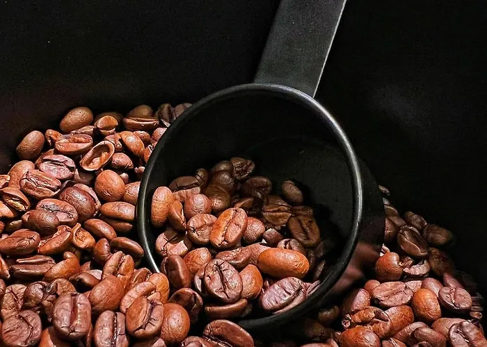 Center Charm - Lumina Tromso